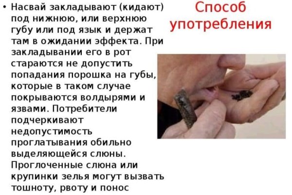 Кракен тор krakendark krakendark link