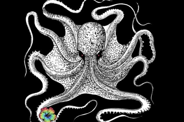 Kraken зеркало kraken dark link