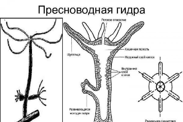 Как вывести деньги с кракена тор