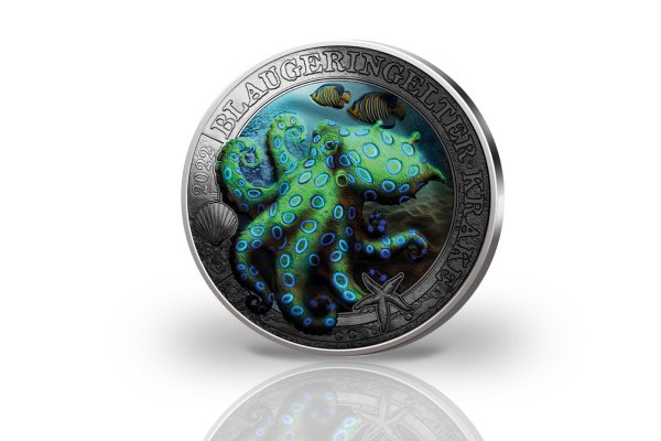 Kraken onion link