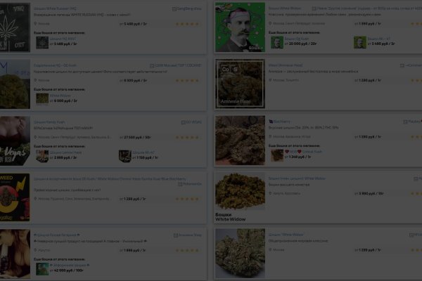 Что за приложение кракен