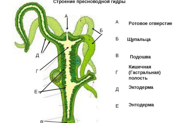 Настоящий сайт kraken