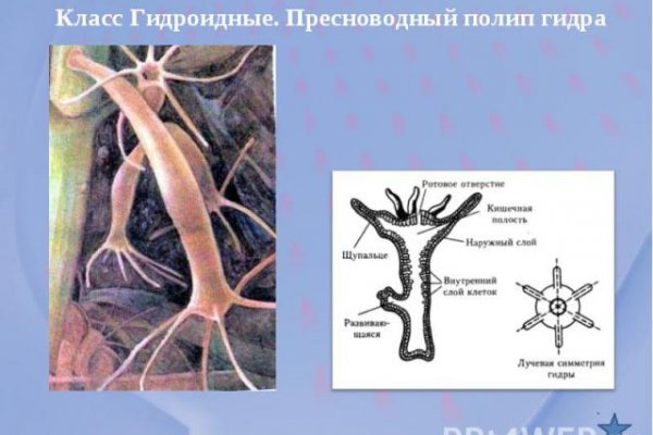 Kraken адрес