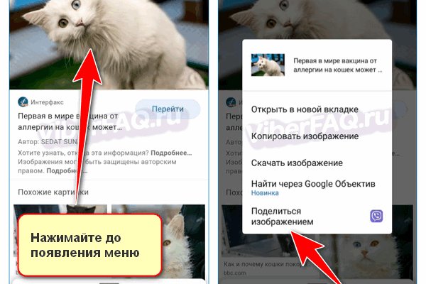 Какая ссылка у кракена
