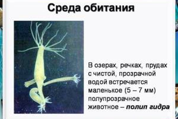 Кракен маркетплейс тор