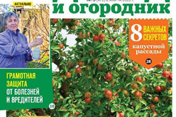 Кракен даркнет зайти